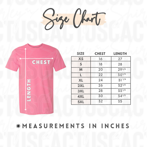 Adult Unisex Tee Shirt - Gildan Softstyle
