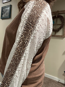 Leopard and Lace Brown Long Sleeve