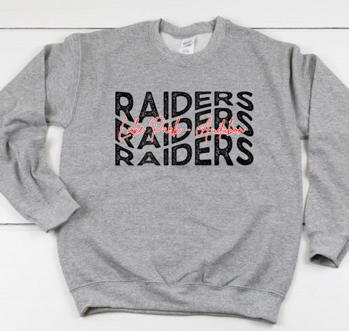 LPA Raiders X3 Design on Gray
